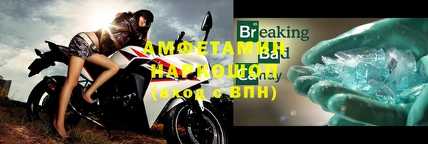 индика Абаза