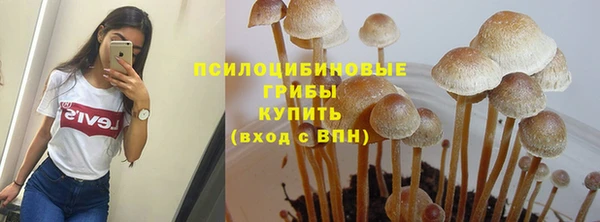 индика Абаза