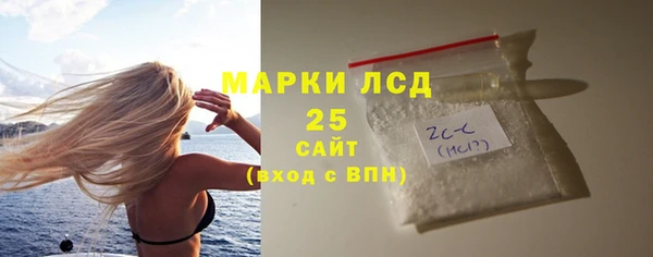 индика Абаза