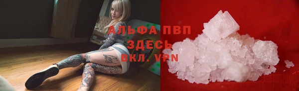 индика Абаза