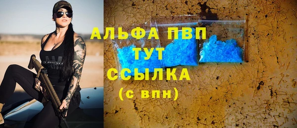 индика Абаза