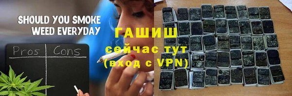 индика Абаза