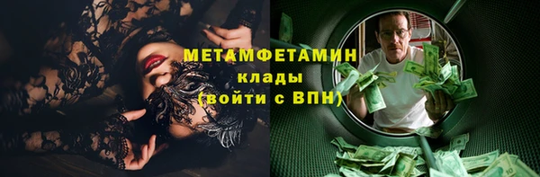 индика Абаза