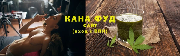 мдпв Каменка