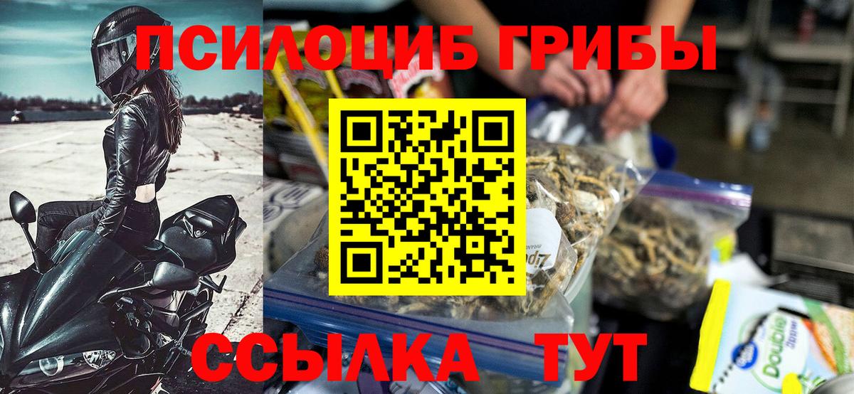 Псилоцибиновые грибы мухоморы  Псилоцибиновые грибы Cubensis  Рязань  Вход с VPN 